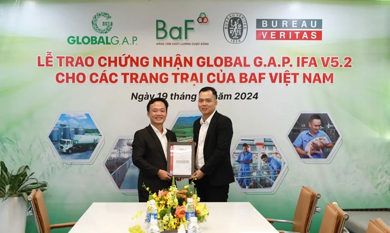 Đại diện tổ chức Bureau Veritas trao chứng nhận GlobalG.A.P IFA cho công ty BaF Việt Nam