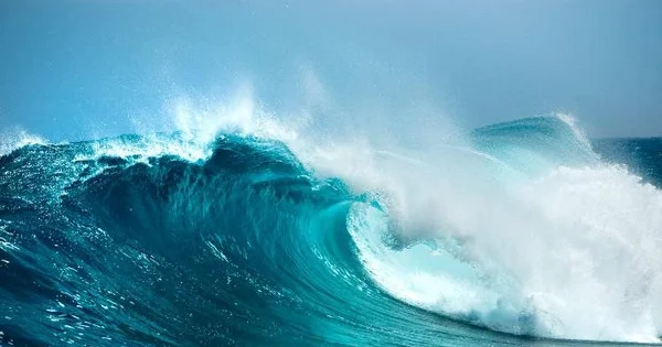 Top cổ phiếu tăng/ giảm mạnh nhất tuần: Hàng loạt cổ phiếu tăng tốc "đón sóng" KQKD quý 4, có mã bứt phá 100%