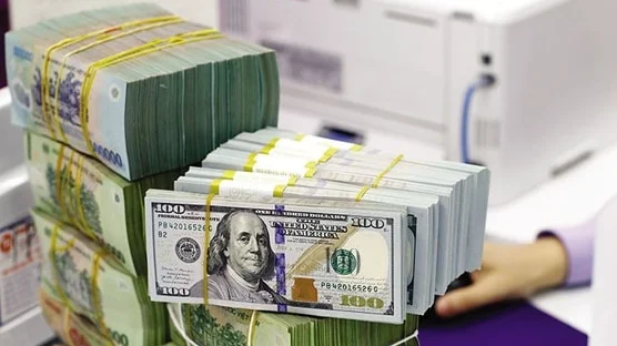 Dự báo xu hướng tỷ giá USD/VND trong quý 4/2024
