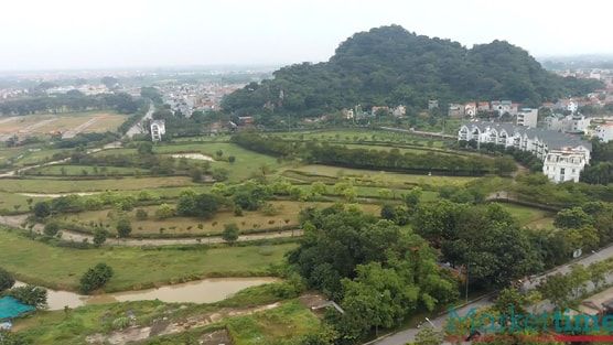 Huyện Quốc Oai (Hà Nội) dừng đấu giá, trả cọc 39 lô đất