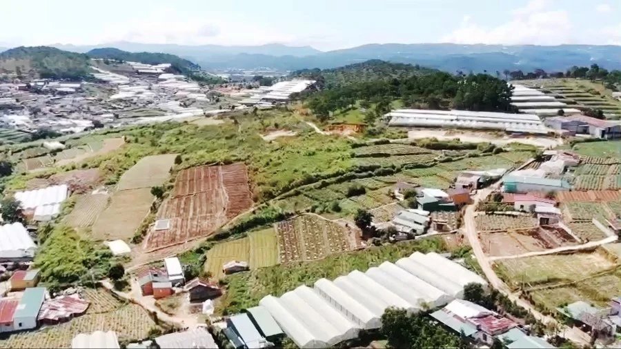 lam-dong-lap-to-cong-tac-dac-biet-go-kho-du-an-khu-dan-cu-tai-trai-mat-da-lat-6475cbc910f5320240219133346-718.jpg