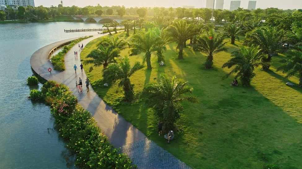 image7-3253.png