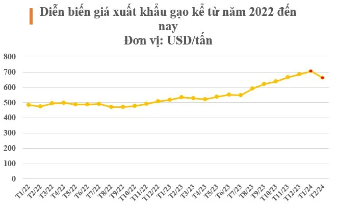 c1-3782.png