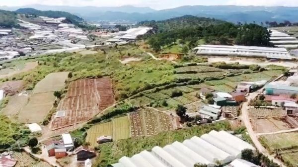 Diễn biến mới tại dự án gần 1.500 tỷ đồng của Trung Nam ở Lâm Đồng