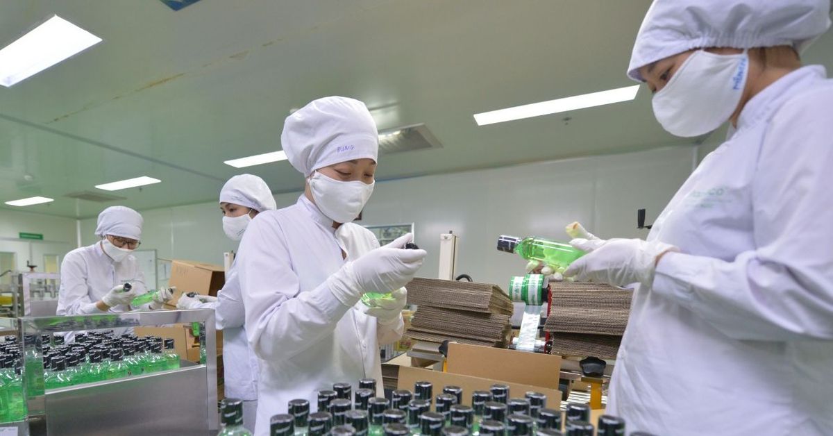Traphaco đặt kế hoạch lợi nhuận năm 2024 tăng 6%, tham vọng lớn với mảng Tân dược