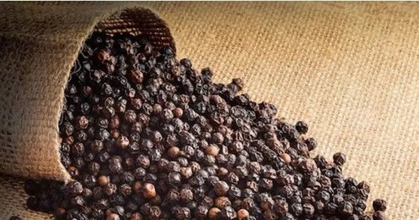 Giá hồ tiêu tăng mạnh, xuất khẩu sang nhiều thị trường tăng gấp đôi