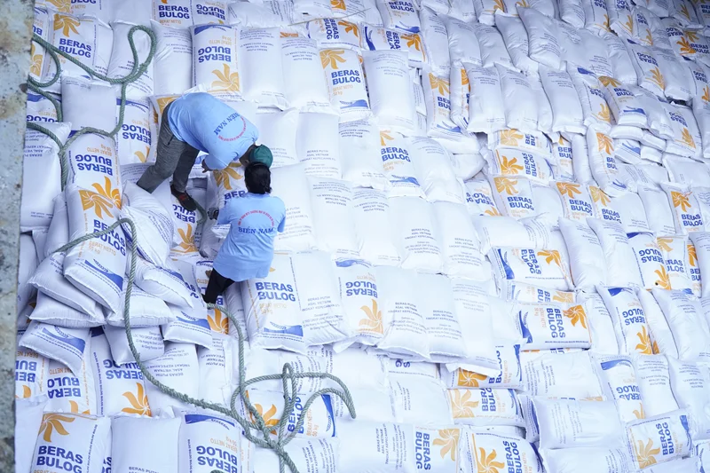 Cục Xuất nhập khẩu đề nghị các doanh nghiệp đấu thầu quốc tế gạo Bulog thực hiện nghiêm Nghị định 107