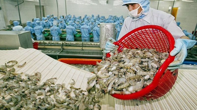 Thông tin tích cực về nền kinh tế Mỹ có giúp xuất khẩu tôm Việt khả quan hơn?