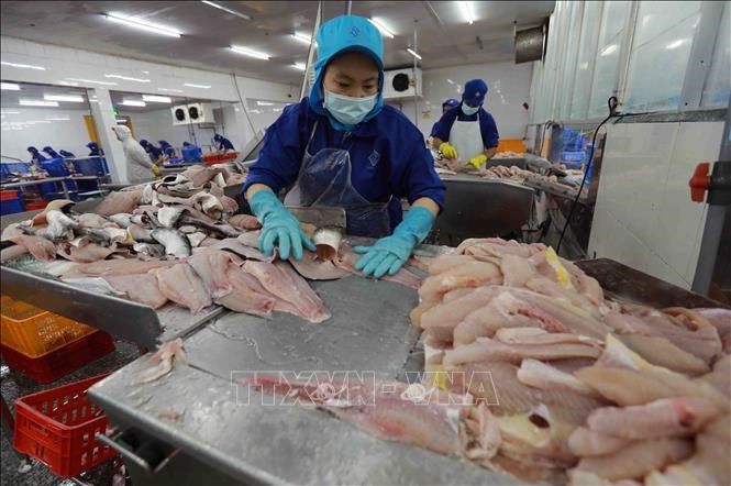 vna-potal-phuc-hoi-va-phat-trien-kinh-te-xa-hoi-cong-ty-tnhh-cong-nghiep-thuy-san-mien-nam-tang-7-doanh-thu-xuat-khau-stand-20240802151616.jpg