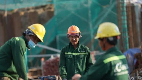 Coteccons đặt mục tiêu lợi nhuận 430 tỷ đồng năm 2024-2025, tăng trưởng gần 40%, tăng thù lao cho dàn lãnh đạo lên gấp đôi