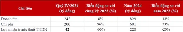 Chứng khoán DNSE đạt doanh thu 829 tỷ đồng năm 2024