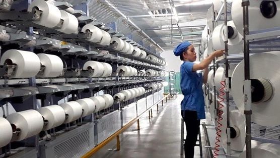 'Cú đấm' của tỷ giá khiến công ty sợi trên sàn giảm 87% lợi nhuận trong quý 3