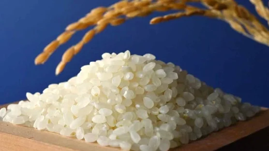 Giá loại “hạt vàng” này tăng mạnh nhất nửa thế kỷ đẩy lạm phát tại Nhật Bản tăng trên 3% trong 4 tháng liên tiếp
