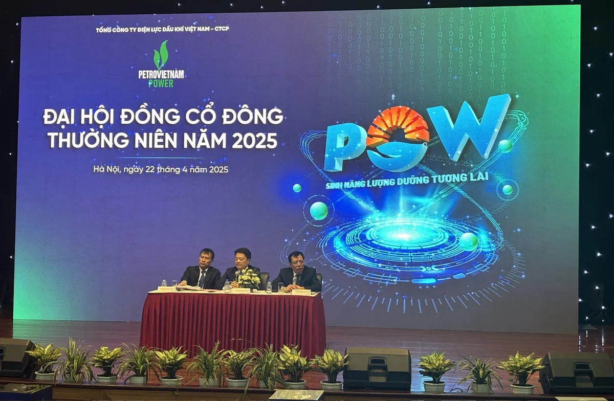 ĐHĐCĐ PV Power: Nhơn Trạch 3&4 có lãi từ năm 2027, mảng trạm sạc dự kiến đóng góp doanh thu không nhỏ