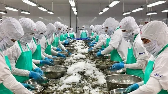 Xuất khẩu thủy sản tăng trưởng mạnh thu về hơn 4 tỷ USD trong 5 tháng