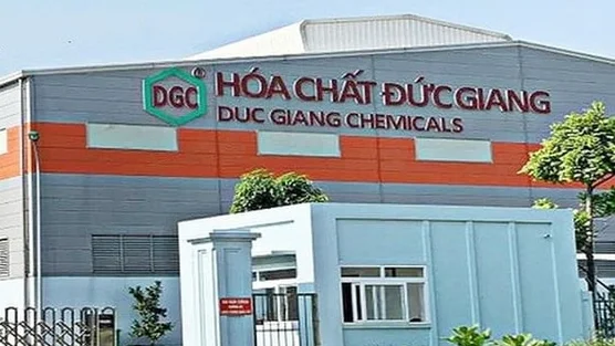 Hóa chất Đức Giang báo lãi cao nhất 10 quý, hơn 12.000 tỷ 'tiền tươi' vẫn để trong ngân hàng