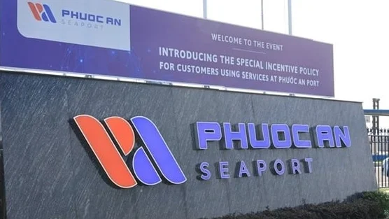 Lỗ luỹ kế 6 tháng gần 250 tỷ đồng, một công ty bất ngờ bổ nhiệm nữ lãnh đạo sinh năm 2002