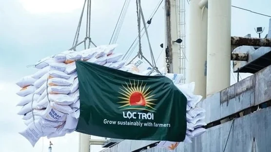 Thành viên ban kiểm soát Bamboo Capital (BCG) được đề cử vào ban kiểm soát Lộc Trời (LTG) giữa rối ren nhân sự