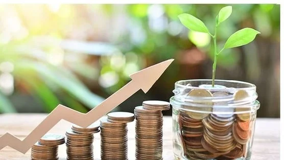 Một công ty bảo hiểm phát hành 29 triệu cổ phiếu, tăng vốn điều lệ thêm 40%