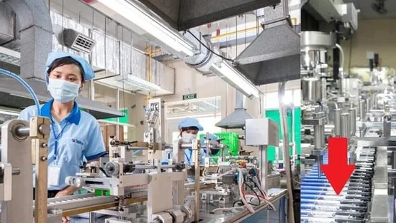 Bán sản phẩm chỉ bằng cốc trà đá khiến 74 quốc gia đặt mua, DN Việt lại “chơi lớn” ở “xứ sở nghìn đảo”