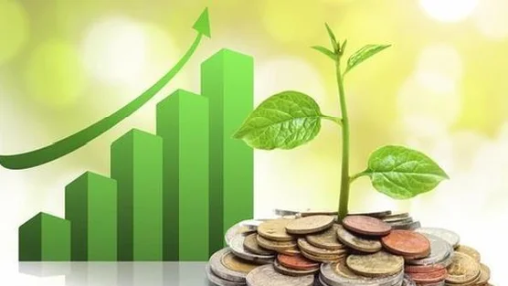 Lịch chốt quyền cổ tức tuần 12/1-16/1: Cổ tức tiền mặt cao nhất 92,5%, một 