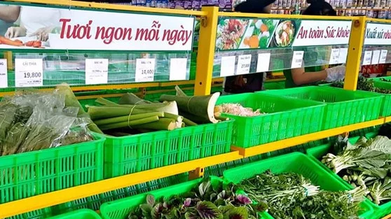 Một “đại gia” tuyển người cùng bán rau, thu nhập có thể lên đến 30 triệu đồng