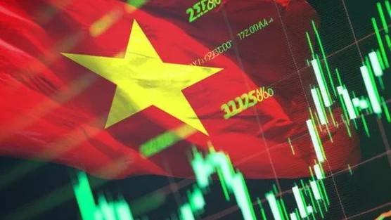 Chuyên gia chỉ ra 