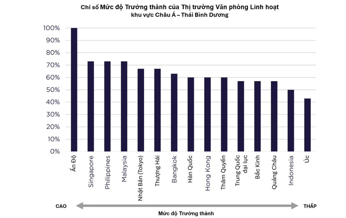 anh-man-hinh-2026-10-16-luc-08.47.26.png