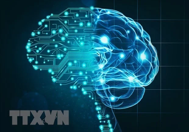ttxvn-ai-1.jpg