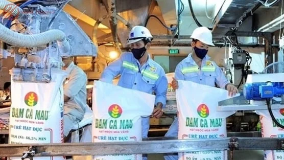 Một doanh nghiệp phân bón lớn lên kế hoạch lãi sụt giảm 40%