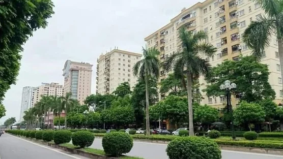 HoREA đề xuất bỏ trần lợi nhuận và mở rộng tín dụng cho nhà ở thương mại giá hợp lý