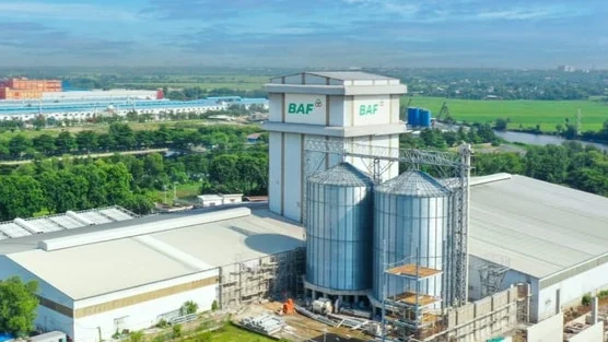 BAF muốn chia thưởng và trả cổ tức 20%, đưa CEO Siba Holdings vào Hội đồng quản trị