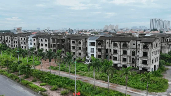 Kích hoạt chính sách chống đầu cơ, chống hưởng chênh lệch địa tô từ việc găm đất, bỏ hoang đất đai